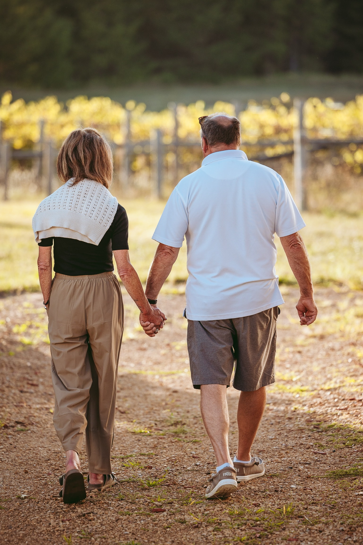 Couple walking hand-in-hand toward the vineyard